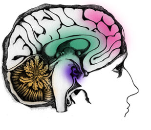 this is your brain on AI