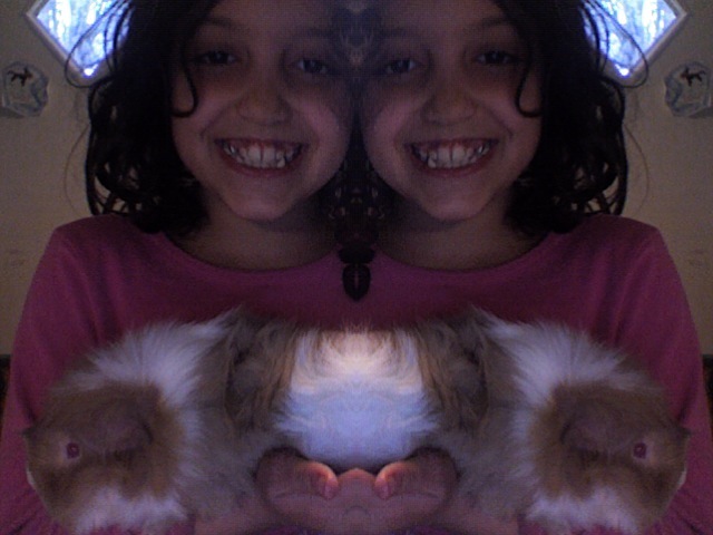 oink, oink, oink